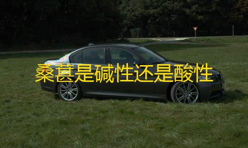 24小时点赞自助服务桑葚是碱性还是酸性